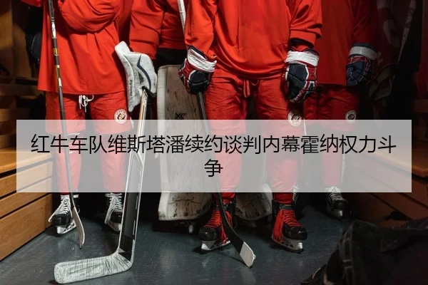 红牛车队维斯塔潘续约谈判内幕霍纳权力斗争